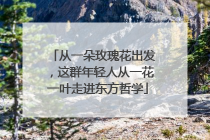 从一朵玫瑰花出发，这群年轻人从一花一叶走进东方哲学