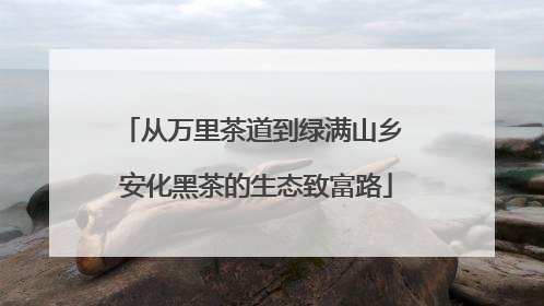 从万里茶道到绿满山乡 安化黑茶的生态致富路