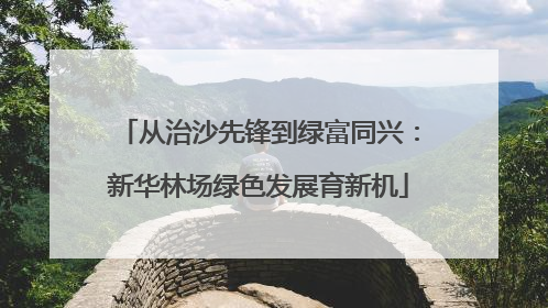 从治沙先锋到绿富同兴：新华林场绿色发展育新机