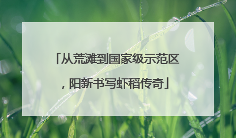 从荒滩到国家级示范区，阳新书写虾稻传奇