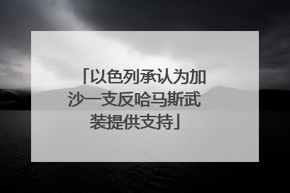 以色列承认为加沙一支反哈马斯武装提供支持