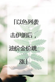 以色列袭击伊朗后，油价金价跳涨
