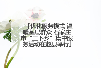 优化服务模式 温暖基层群众 石家庄市“三下乡”集中服务活动在赵县举行