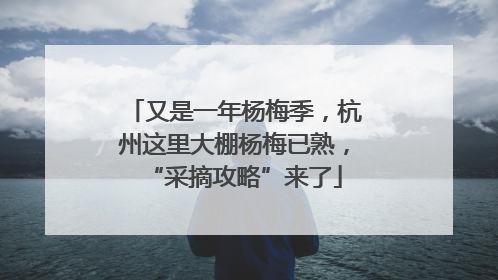 又是一年杨梅季，杭州这里大棚杨梅已熟，“采摘攻略”来了