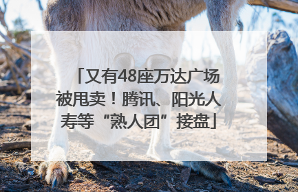 又有48座万达广场被甩卖！腾讯、阳光人寿等“熟人团”接盘