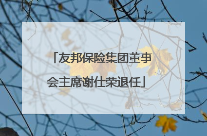 友邦保险集团董事会主席谢仕荣退任