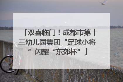 双喜临门！成都市第十三幼儿园集团“足球小将”闪耀“东郊杯”