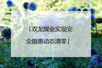 双龙煤业实现安全隐患动态清零