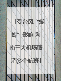 受台风“蝴蝶”影响 海南三大机场取消多个航班