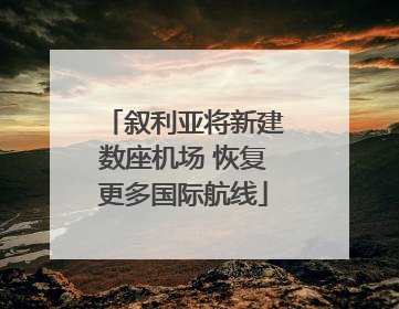 叙利亚将新建数座机场 恢复更多国际航线