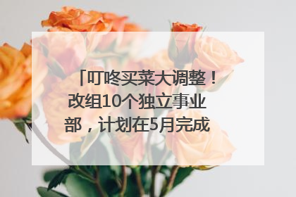 叮咚买菜大调整！改组10个独立事业部，计划在5月完成App端全面改版