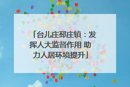 台儿庄邳庄镇：发挥人大监督作用 助力人居环境提升