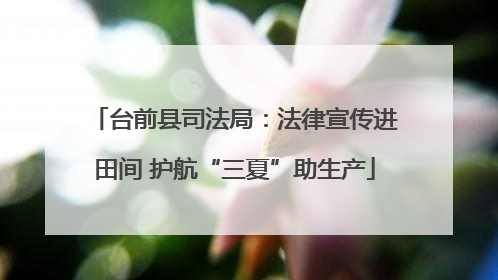 台前县司法局：法律宣传进田间 护航“三夏”助生产