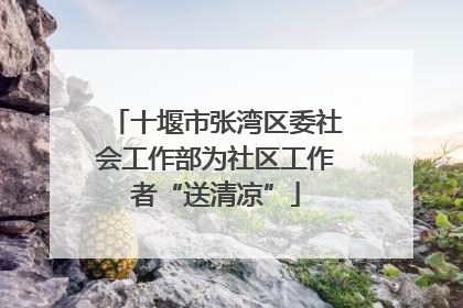 十堰市张湾区委社会工作部为社区工作者“送清凉”