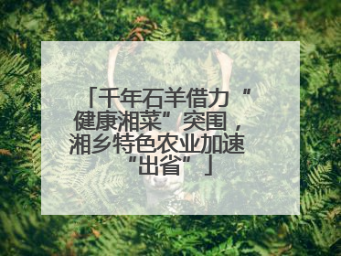 千年石羊借力“健康湘菜”突围，湘乡特色农业加速“出省”