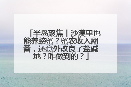 半岛聚焦丨沙漠里也能养螃蟹？蟹农收入翻番，还意外改良了盐碱地？咋做到的？