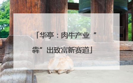 华亭：肉牛产业“犇”出致富新赛道