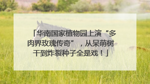 华南国家植物园上演“多肉界玫瑰传奇”，从呆萌树干到炸裂种子全是戏！
