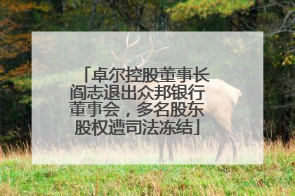 卓尔控股董事长阎志退出众邦银行董事会，多名股东股权遭司法冻结