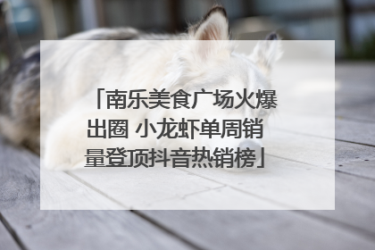 南乐美食广场火爆出圈 小龙虾单周销量登顶抖音热销榜