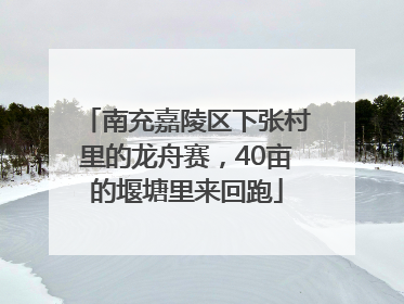南充嘉陵区下张村里的龙舟赛，40亩的堰塘里来回跑