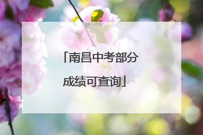 南昌中考部分成绩可查询