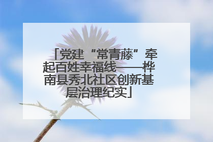 党建“常青藤”牵起百姓幸福线——桦南县秀北社区创新基层治理纪实