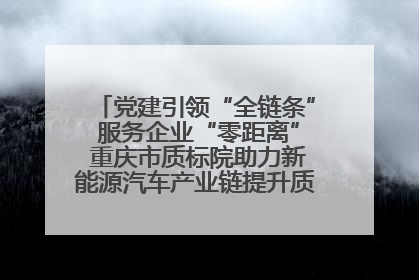 党建引领“全链条” 服务企业“零距离” 重庆市质标院助力新能源汽车产业链提升质量管理水平