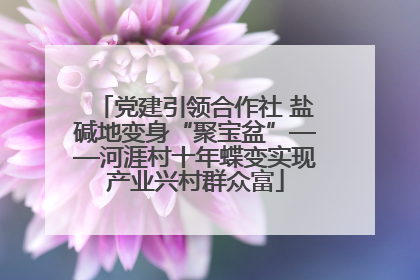 党建引领合作社 盐碱地变身“聚宝盆”——河涯村十年蝶变实现产业兴村群众富