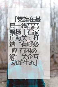 党旗在基层一线高高飘扬丨石家庄海关：打造“有呼必应 有困必解”关企互动新生态