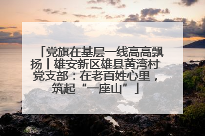 党旗在基层一线高高飘扬丨雄安新区雄县黄湾村党支部：在老百姓心里，筑起“一座山”