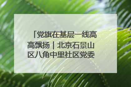 党旗在基层一线高高飘扬｜北京石景山区八角中里社区党委：用脚步丈量民生