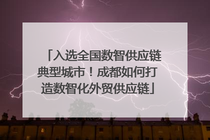 入选全国数智供应链典型城市！成都如何打造数智化外贸供应链