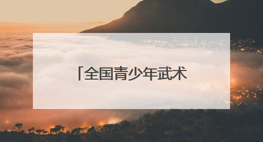 全国青少年武术散打锦标赛鹿城开擂 “武林高手”强强对话