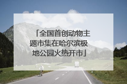 全国首创动物主题市集在哈尔滨极地公园火热开市