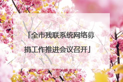 全市残联系统网络募捐工作推进会议召开