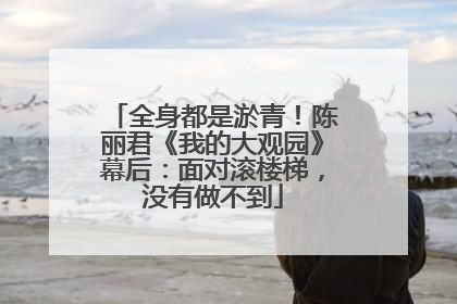 全身都是淤青！陈丽君《我的大观园》幕后：面对滚楼梯，没有做不到