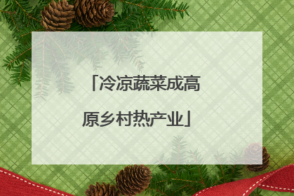 冷凉蔬菜成高原乡村热产业