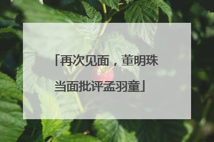 再次见面，董明珠当面批评孟羽童