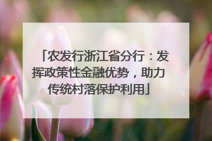 农发行浙江省分行：发挥政策性金融优势，助力传统村落保护利用
