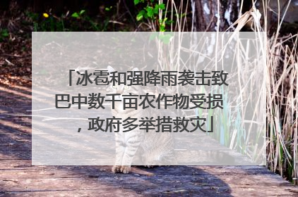 冰雹和强降雨袭击致巴中数千亩农作物受损，政府多举措救灾
