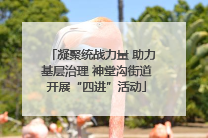 凝聚统战力量 助力基层治理 神堂沟街道开展“四进”活动