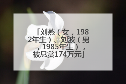 刘燕（女，1982年生）、刘波（男，1985年生），被悬赏174万元