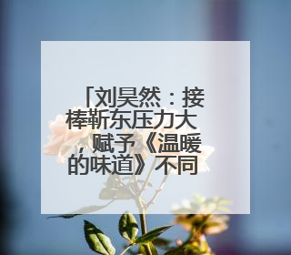 刘昊然：接棒靳东压力大，赋予《温暖的味道》不同情感表达
