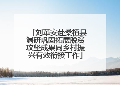 刘革安赴桑植县调研巩固拓展脱贫攻坚成果同乡村振兴有效衔接工作
