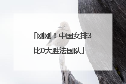 刚刚！中国女排3比0大胜法国队