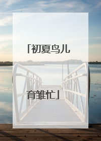初夏鸟儿育雏忙