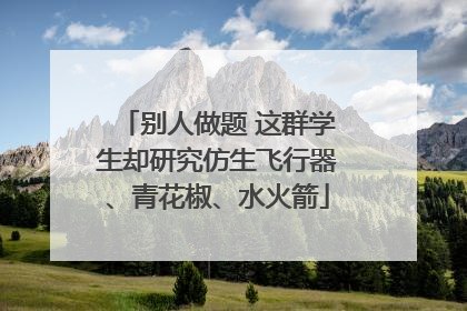 别人做题 这群学生却研究仿生飞行器、青花椒、水火箭