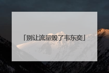 别让流量毁了韦东奕