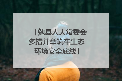 勉县人大常委会多措并举筑牢生态环境安全底线